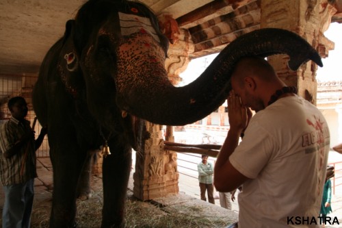 благословение слонихи Лакшми