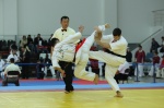 EURO-II 014