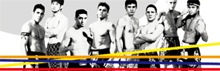 K-1 WorldMax 2009 Final8