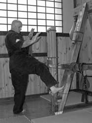 Удары голенью (макивара)