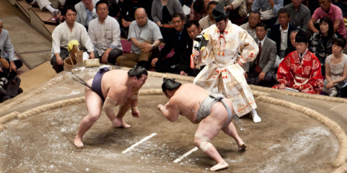 Боевое и спортивное сумо: термины единоборства